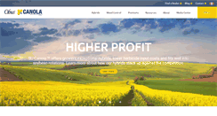Desktop Screenshot of cibuscanola.com